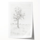 Vintage Botanical Art Print - Tree Sketch in Field – Framed