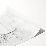 Vintage Botanical Art Print - Tree Sketch in Field – Framed