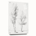 Vintage Botanical Art Prints – Pencil Drawing of Trees – Elegant Wall Art
