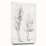 Vintage Botanical Art Prints – Pencil Drawing of Trees – Elegant Wall Art