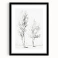 Vintage Botanical Art Prints – Pencil Drawing of Trees – Elegant Wall Art