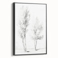 Vintage Botanical Art Prints – Pencil Drawing of Trees – Elegant Wall Art