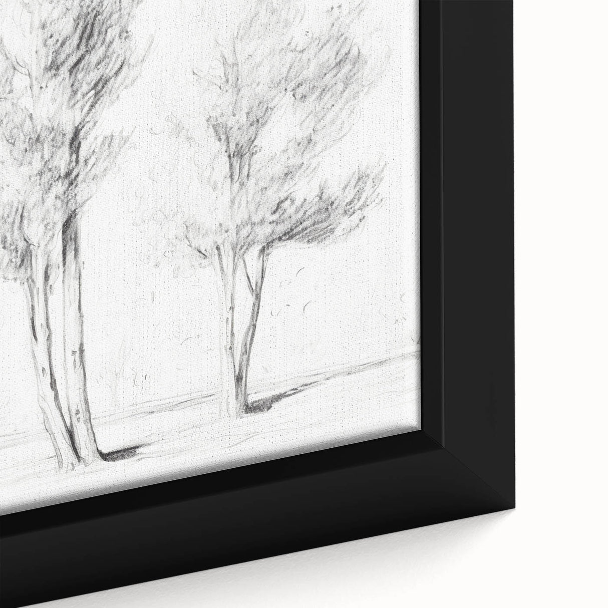 Vintage Botanical Art Prints – Pencil Drawing of Trees – Elegant Wall Art