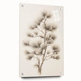 Vintage Botanical Art Prints – Pine Tree Illustration – Elegant Wall Art