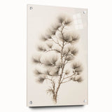 Vintage Botanical Art Prints – Pine Tree Illustration – Elegant Wall Art