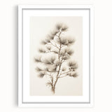 Vintage Botanical Art Prints – Pine Tree Illustration – Elegant Wall Art