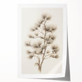 Vintage Botanical Art Prints – Pine Tree Illustration – Elegant Wall Art