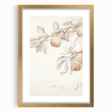 Vintage Botanical Art Prints – Apple Branch Pencil Drawing