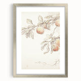 Vintage Botanical Art Prints – Apple Branch Pencil Drawing