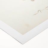 Vintage Botanical Art Prints – Apple Branch Pencil Drawing