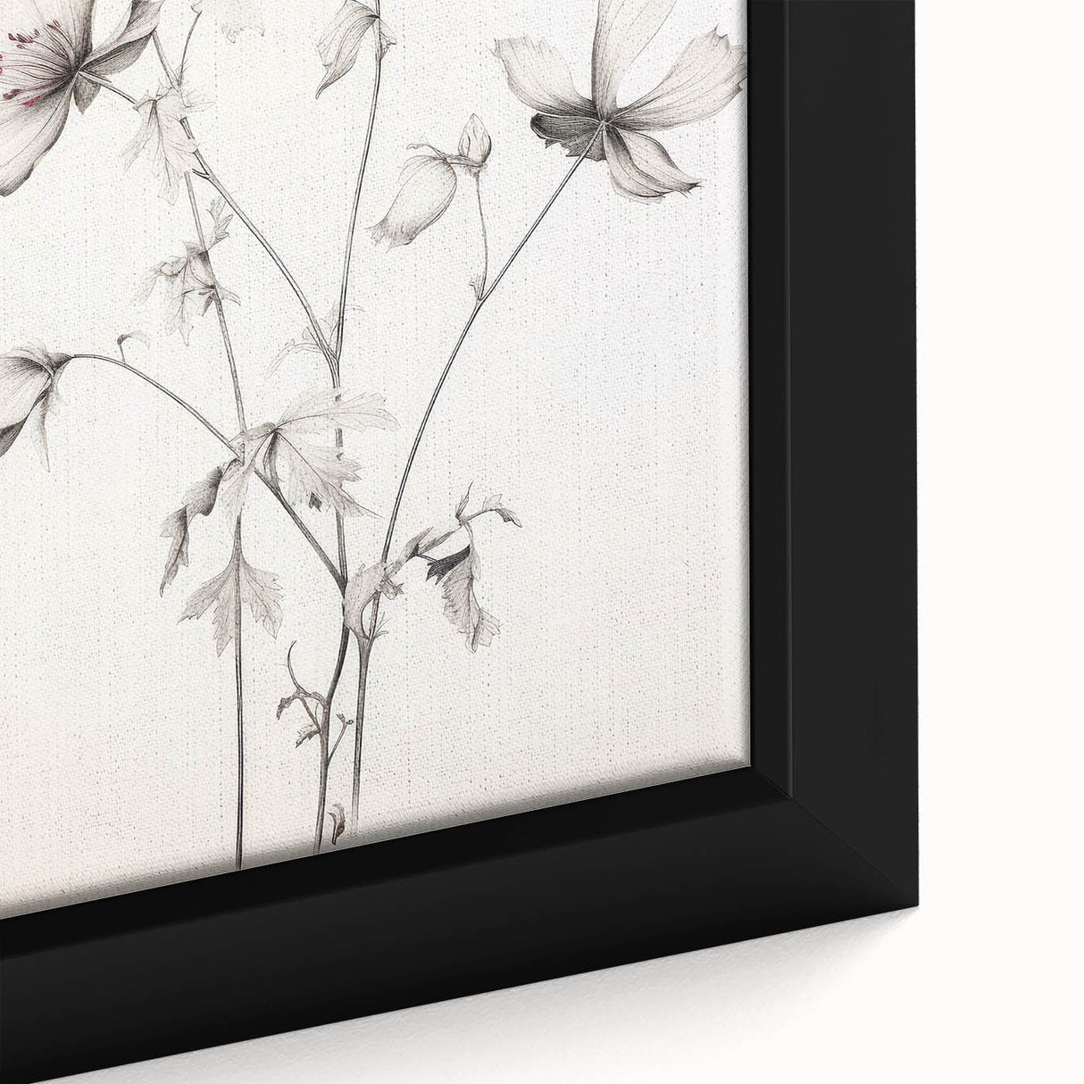 Vintage Botanical Art Print: Elegant Floral Sketch with Soft Details