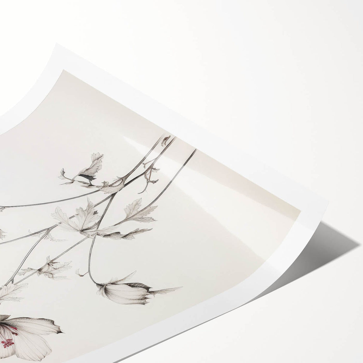 Vintage Botanical Art Print: Elegant Floral Sketch with Soft Details