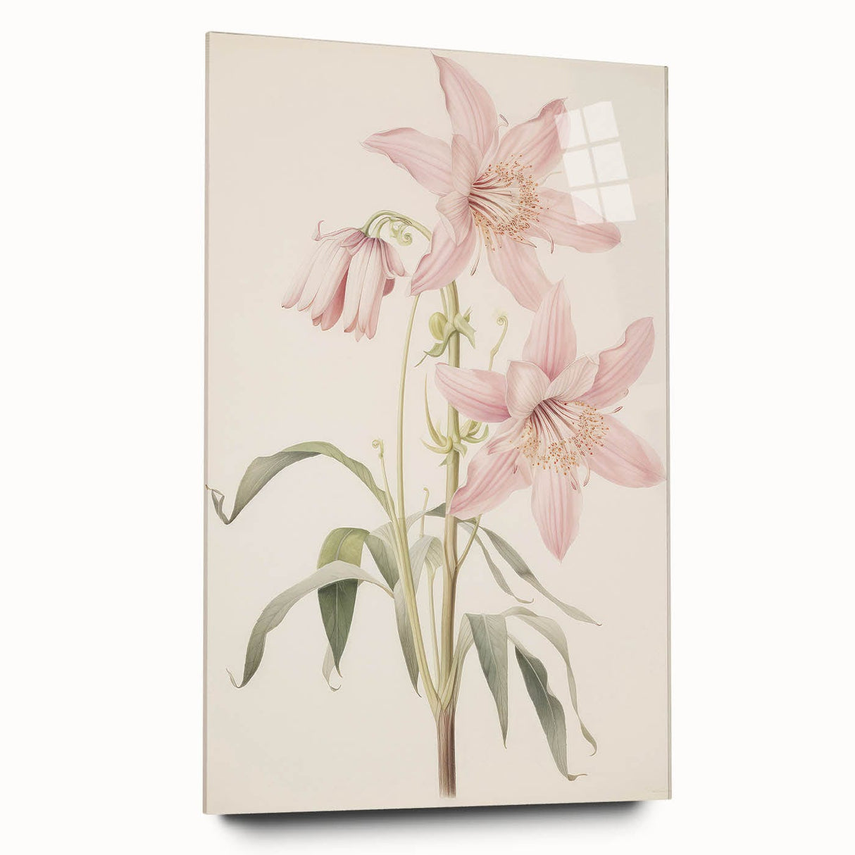 Vintage Botanical Art Print: Delicate Lily Floral Illustration