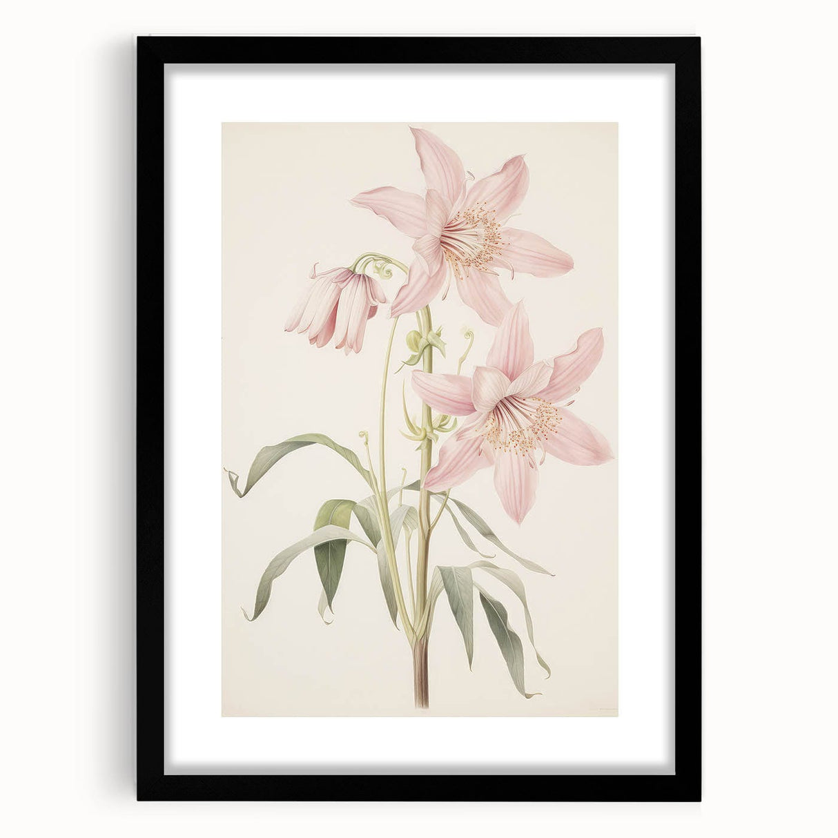 Vintage Botanical Art Print: Delicate Lily Floral Illustration