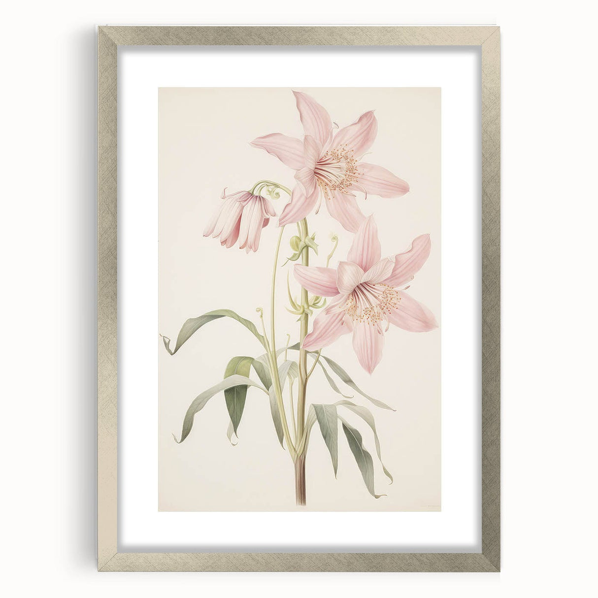 Vintage Botanical Art Print: Delicate Lily Floral Illustration