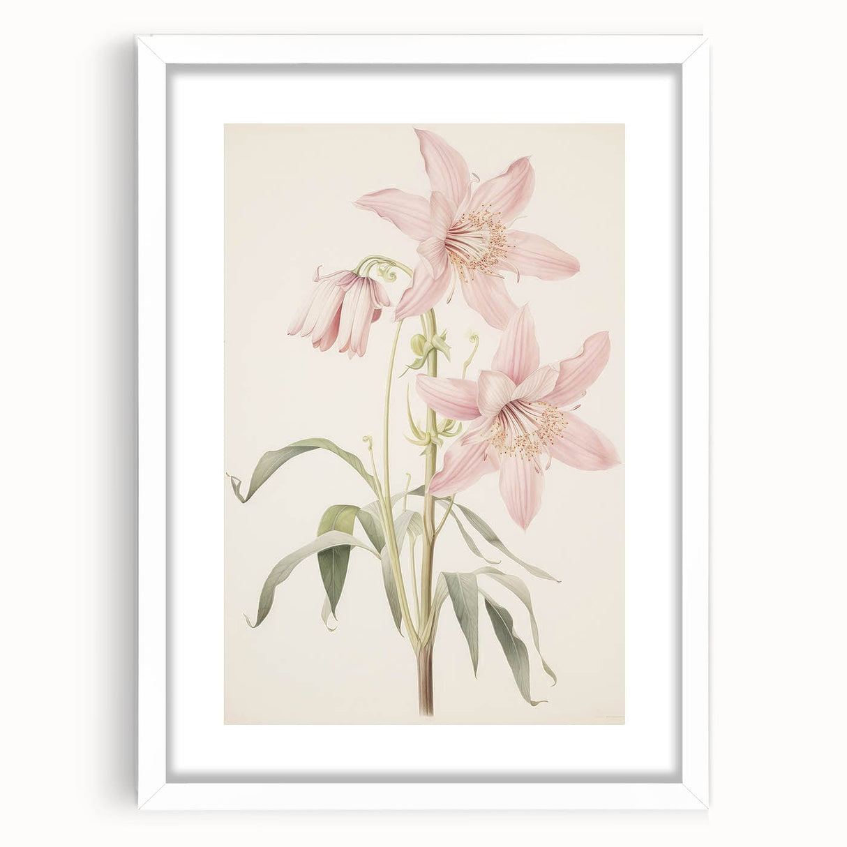 Vintage Botanical Art Print: Delicate Lily Floral Illustration