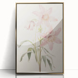 Vintage Botanical Art Print: Delicate Lily Floral Illustration