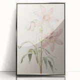 Vintage Botanical Art Print: Delicate Lily Floral Illustration