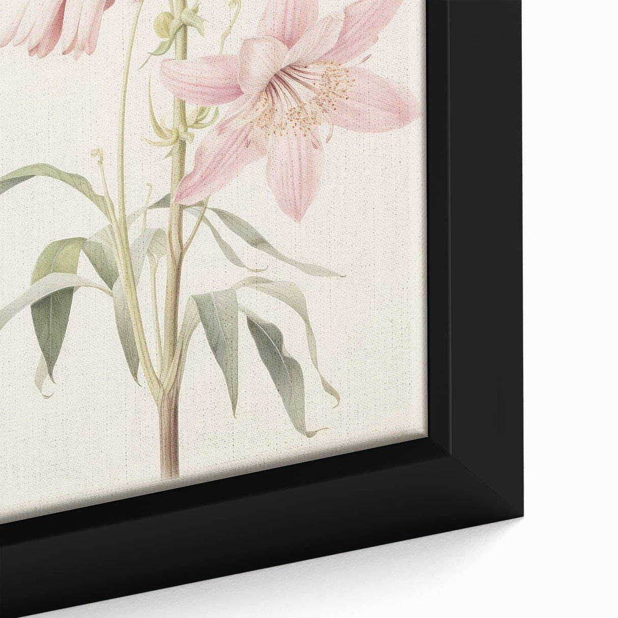 Vintage Botanical Art Print: Delicate Lily Floral Illustration