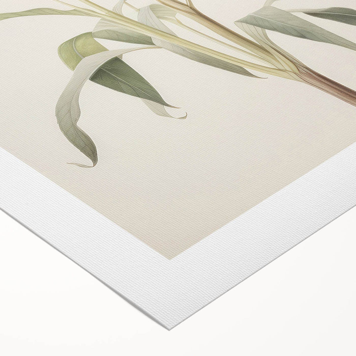 Vintage Botanical Art Print: Delicate Lily Floral Illustration