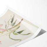 Vintage Botanical Art Print: Delicate Lily Floral Illustration
