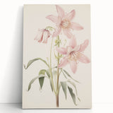 Vintage Botanical Art Print: Delicate Lily Floral Illustration