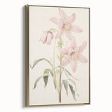 Vintage Botanical Art Print: Delicate Lily Floral Illustration