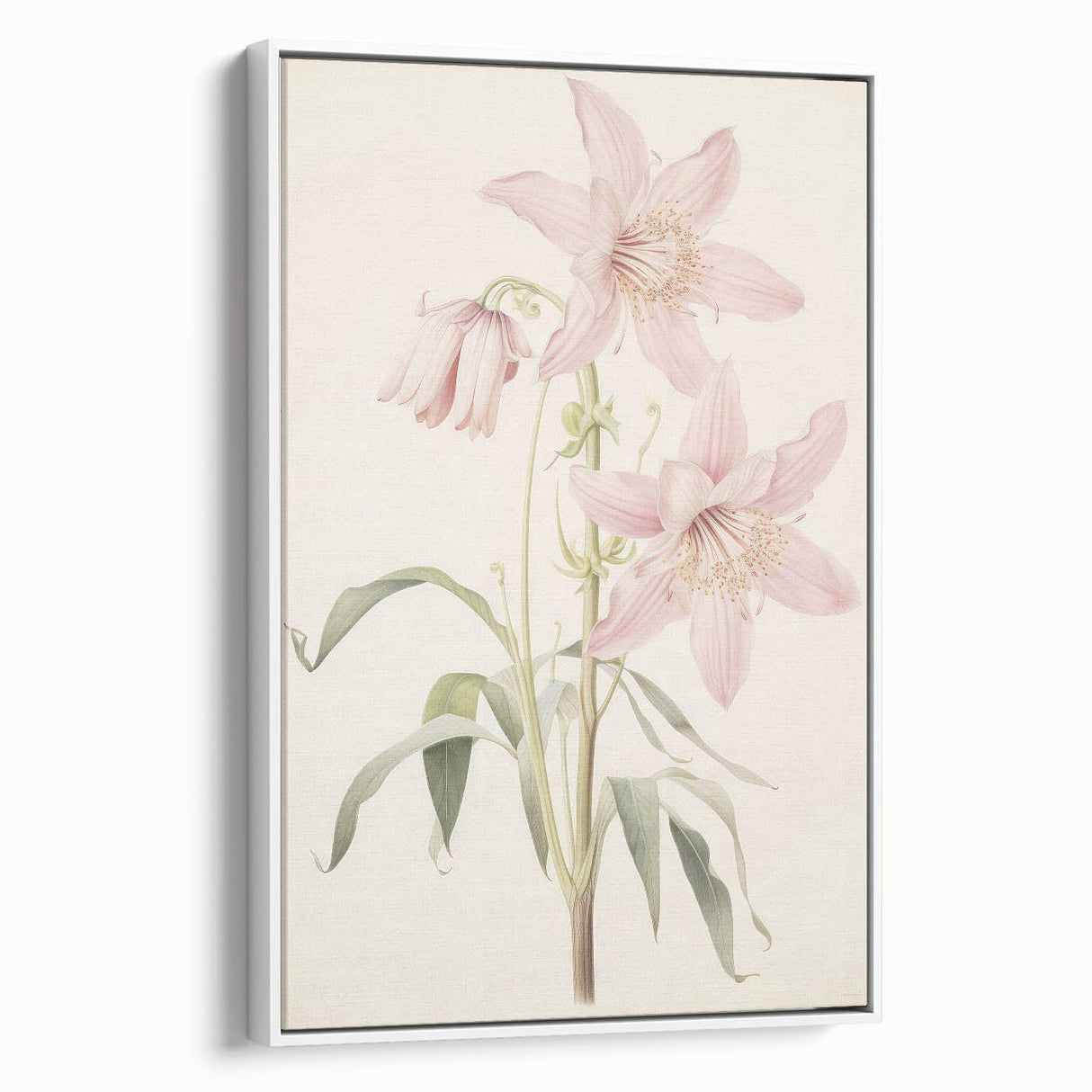 Vintage Botanical Art Print: Delicate Lily Floral Illustration