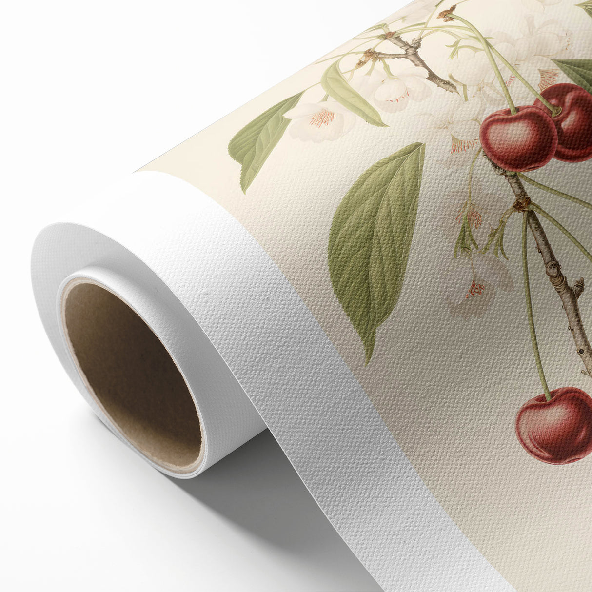 Vintage Botanical Art Print: Cherry Blossom and Fruit Illustration