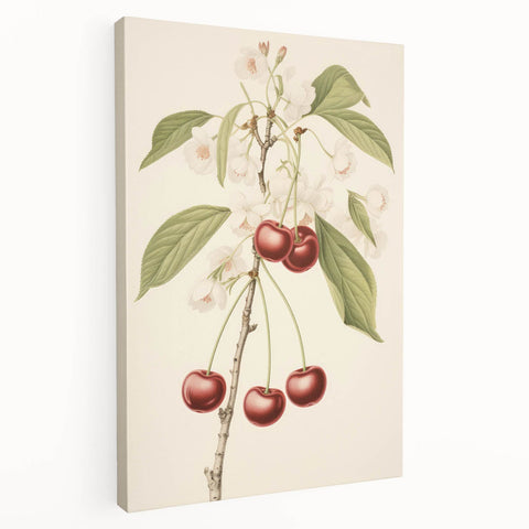 Vintage Botanical Art Print: Cherry Blossom and Fruit Illustration