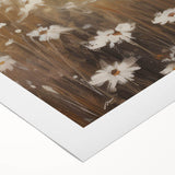 Vintage Botanical Art Print: Soft Daisies in a Golden Field