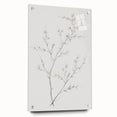 Vintage Botanical Art Print: Elegant Floral Sketch in Neutral Tones