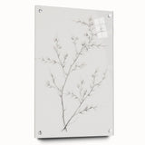 Vintage Botanical Art Print: Elegant Floral Sketch in Neutral Tones