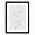 Vintage Botanical Art Print: Elegant Floral Sketch in Neutral Tones