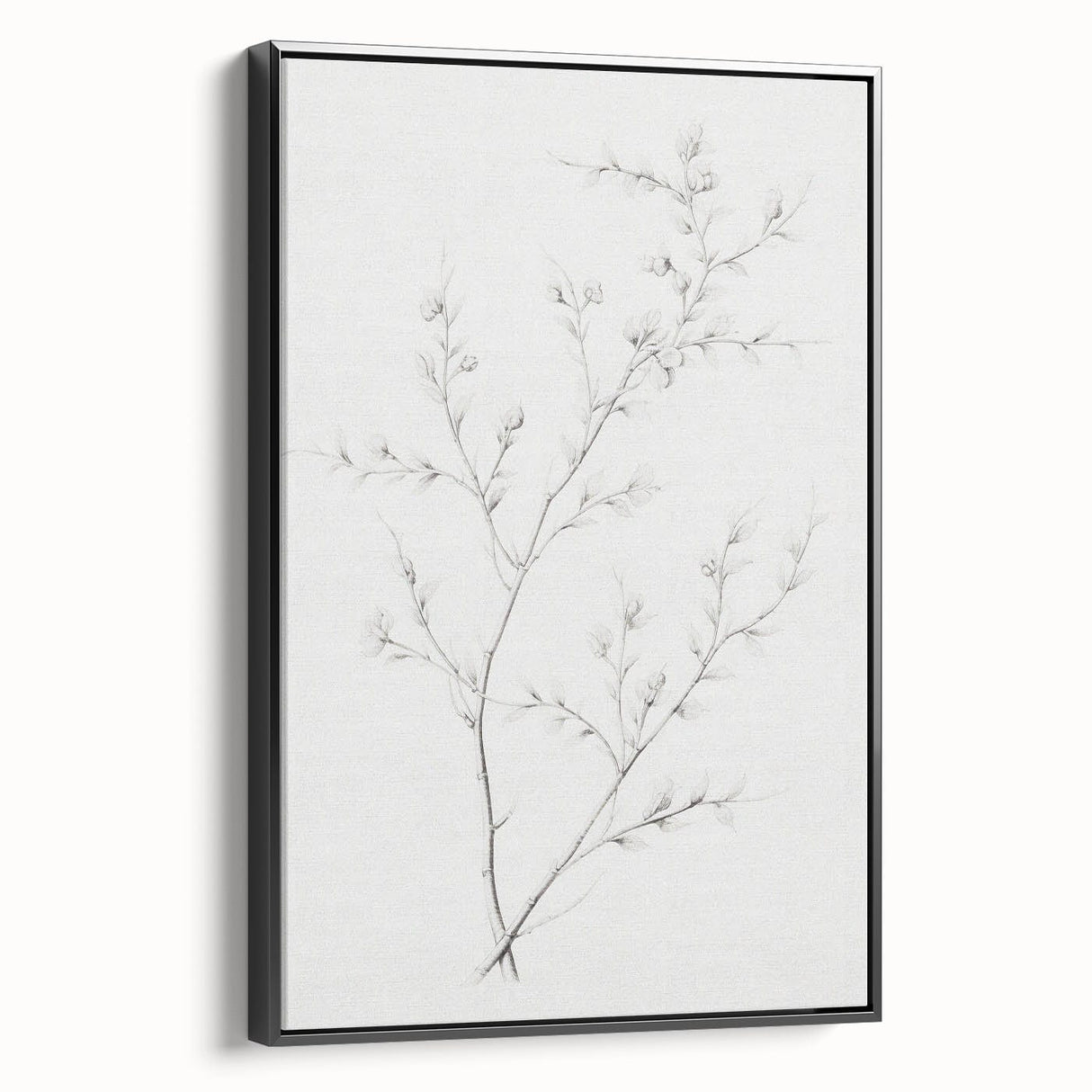 Vintage Botanical Art Print: Elegant Floral Sketch in Neutral Tones
