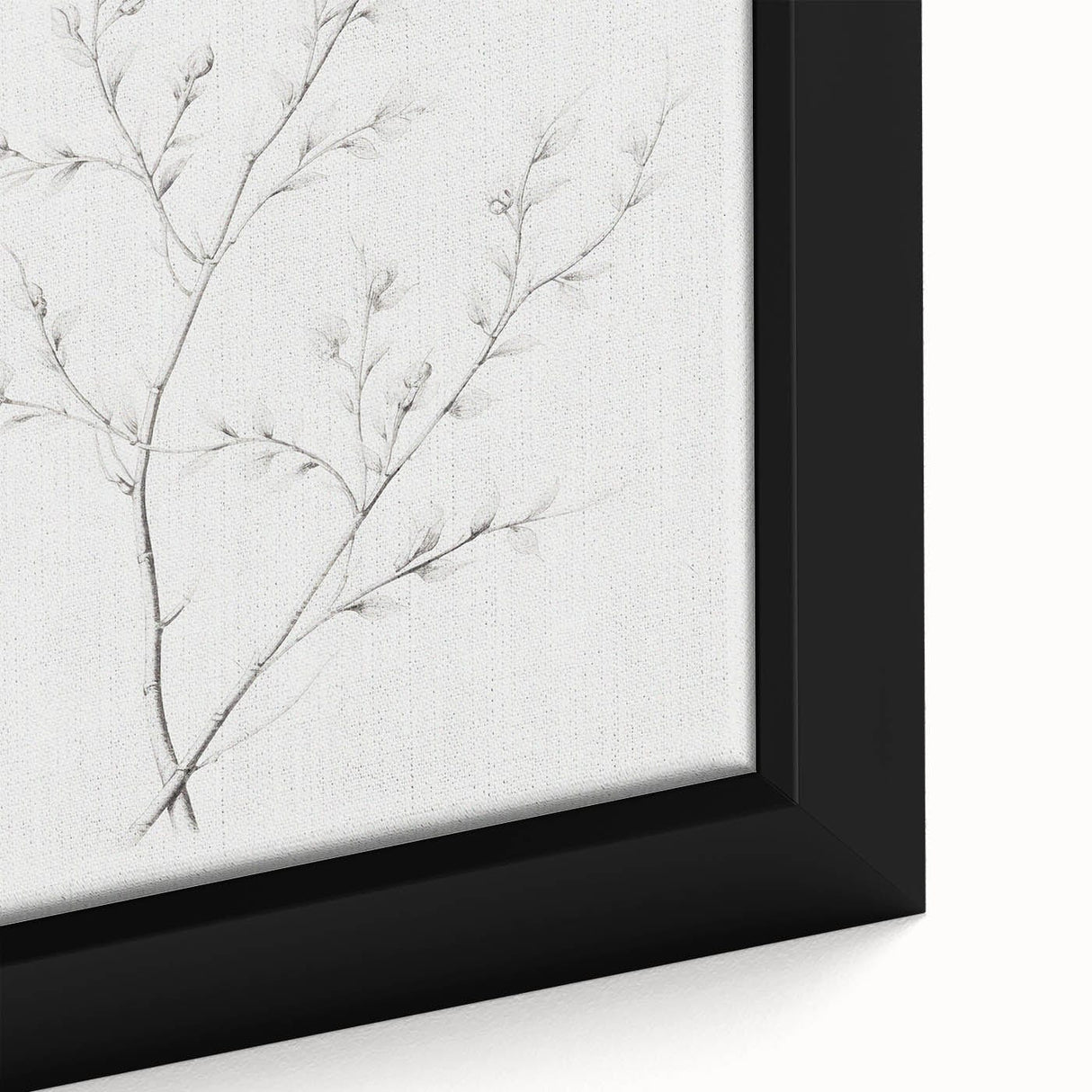 Vintage Botanical Art Print: Elegant Floral Sketch in Neutral Tones