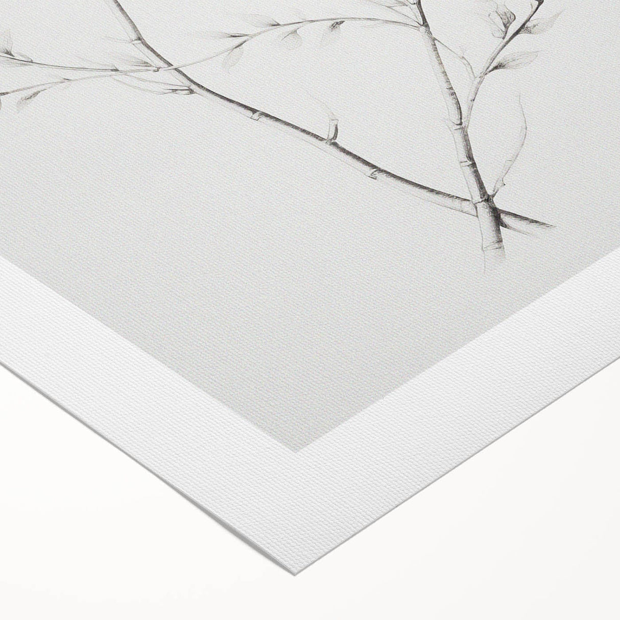 Vintage Botanical Art Print: Elegant Floral Sketch in Neutral Tones