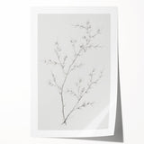 Vintage Botanical Art Print: Elegant Floral Sketch in Neutral Tones