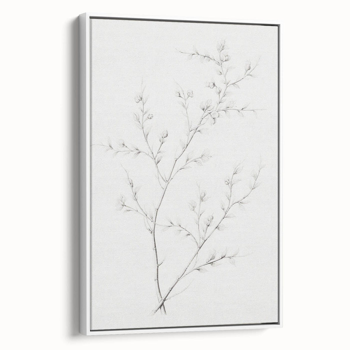 Vintage Botanical Art Print: Elegant Floral Sketch in Neutral Tones