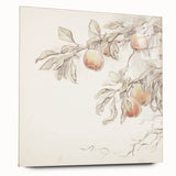 Vintage Botanical Art Prints – Apple Branch Pencil Drawing