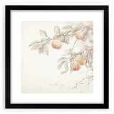 Vintage Botanical Art Prints – Apple Branch Pencil Drawing