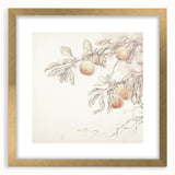 Vintage Botanical Art Prints – Apple Branch Pencil Drawing