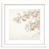 Vintage Botanical Art Prints – Apple Branch Pencil Drawing