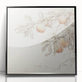 Vintage Botanical Art Prints – Apple Branch Pencil Drawing