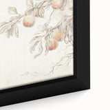 Vintage Botanical Art Prints – Apple Branch Pencil Drawing