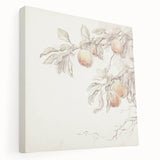 Vintage Botanical Art Prints – Apple Branch Pencil Drawing