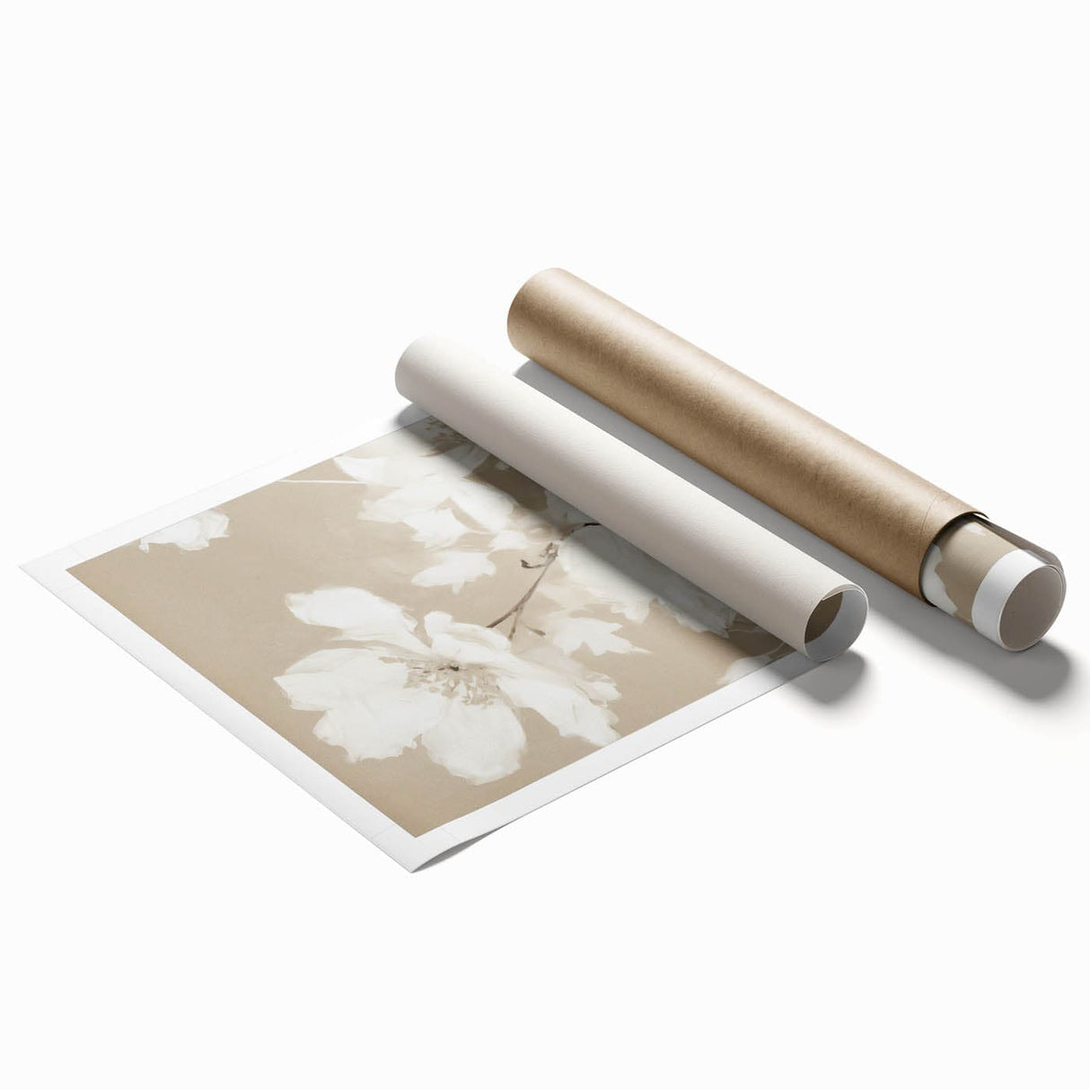Vintage Botanical Art Print: Soft White Floral Illustration