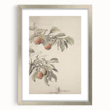 Vintage Botanical Art Print: Peach Branch Illustration in Soft Tones