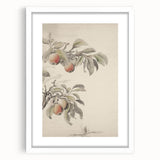 Vintage Botanical Art Print: Peach Branch Illustration in Soft Tones