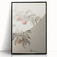 Vintage Botanical Art Print: Peach Branch Illustration in Soft Tones